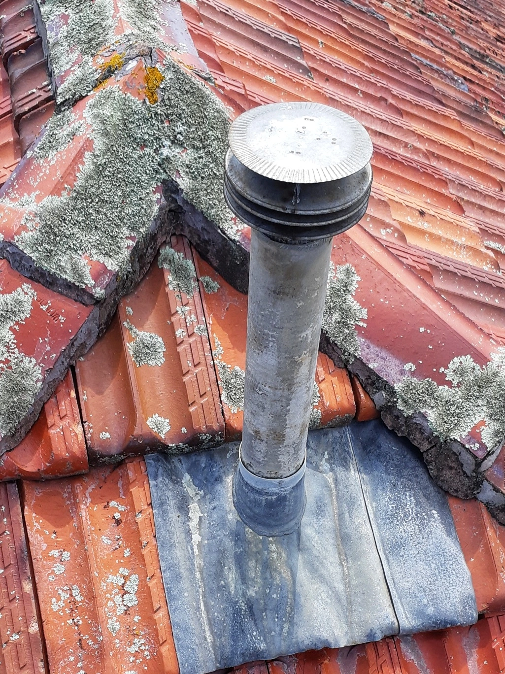 Asbestos growth on roof