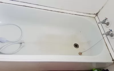 Can I Use Bleach To Clean Mould?