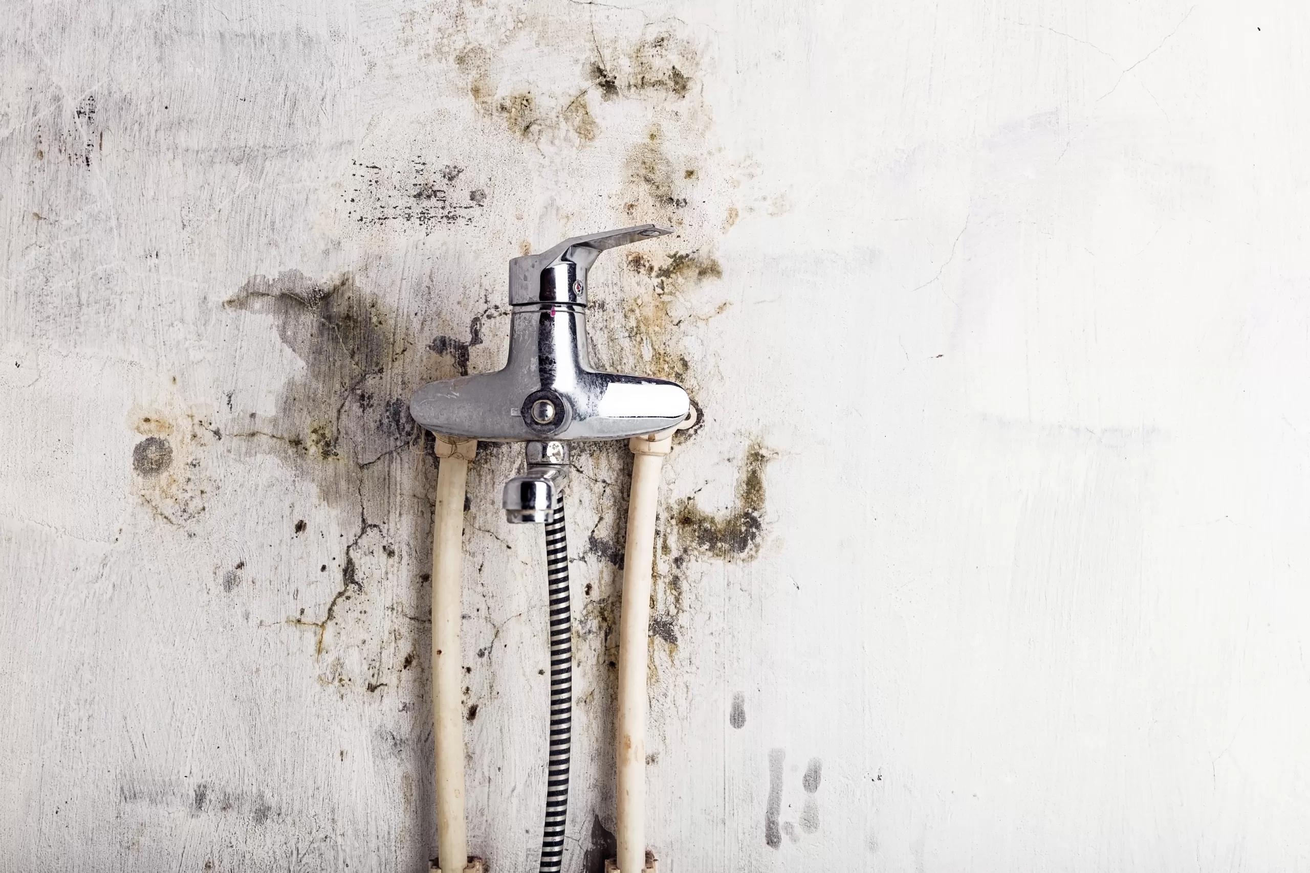 leak on the wall behind the taps resulting in mould growth and household mould