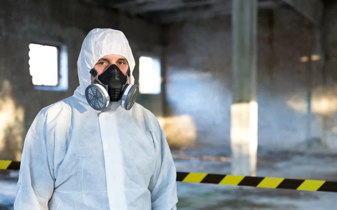 Ensuring Safety with Licensed Asbestos Removal in Auckland