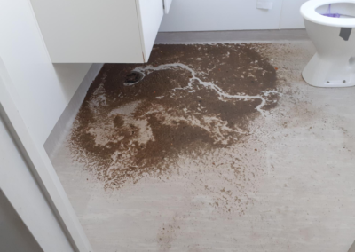 Bathroom floor with biohazard dirt contamination needing remediation