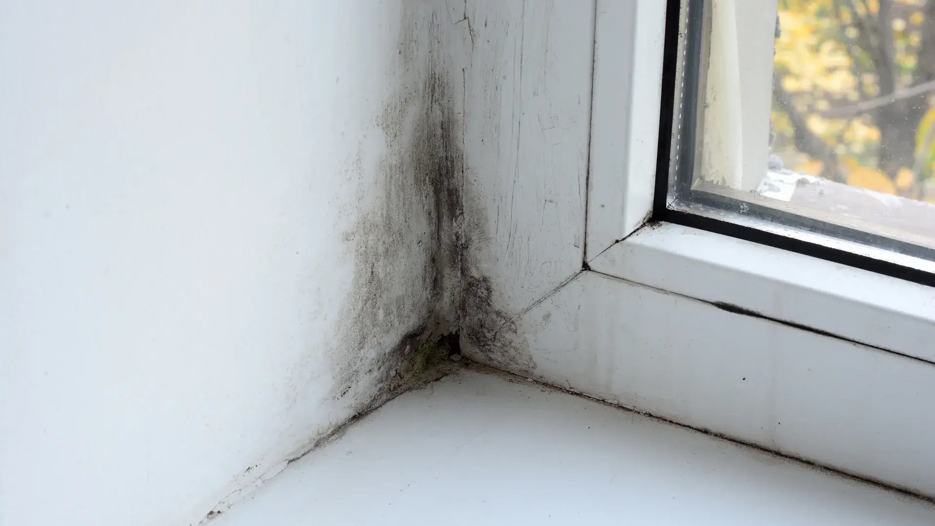 Mould in corner of windowsill