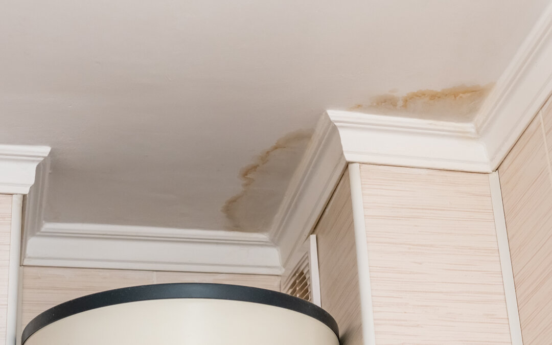 leak and mould in ceiling