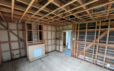 Remediation vs. Removal: Why Removal Is Sometimes the Safest Option