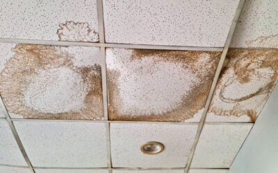 How to Spot Water Damage Before it Turns into a Bigger Problem