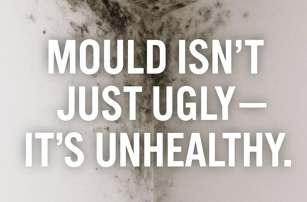 The Hidden Health Risks of Mould: Why You Shouldn’t Wait to Act